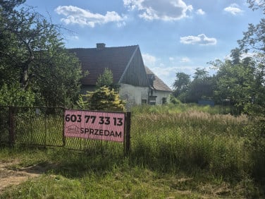 Dom Pniów sprzedaż
