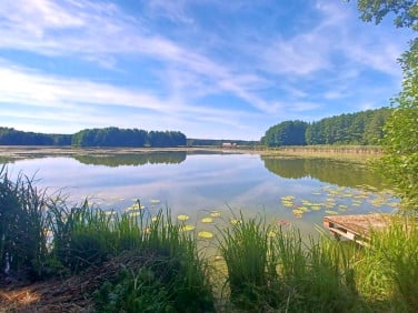 Działka inna Zabór