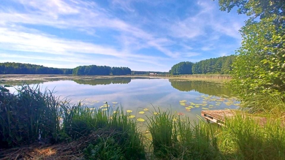 Działka inna Zabór