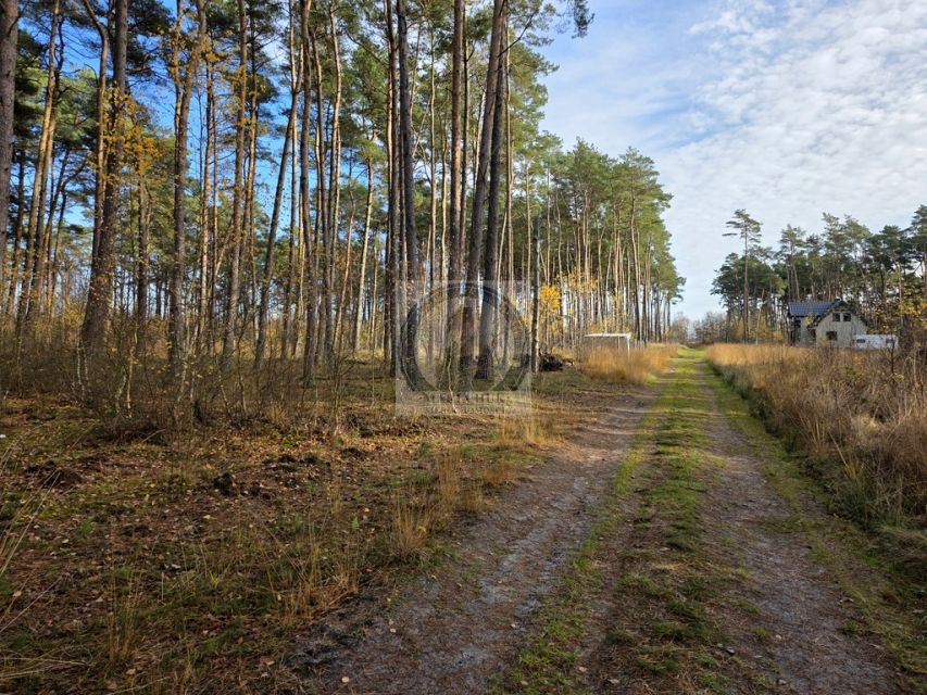 Działka DZIWNÓW