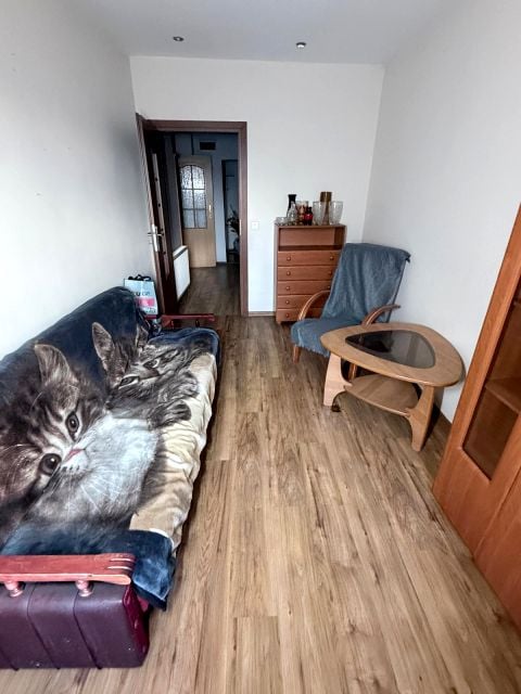 Zdjęcie 3