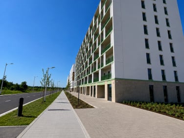 Lokal Wrocław