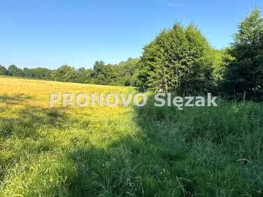 Działka siedliskowa Borkowice