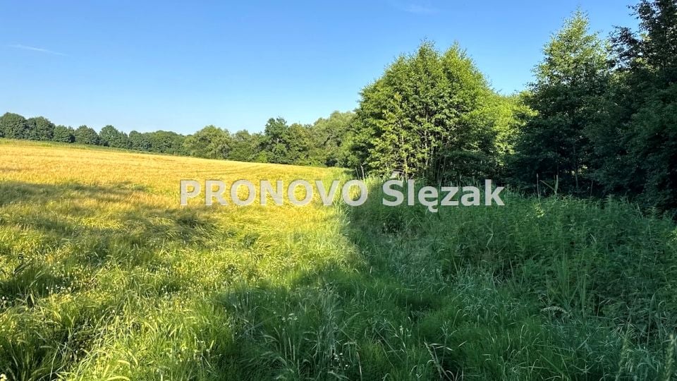 Działka siedliskowa Borkowice