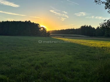 Działka rekreacyjna Pokrzywna