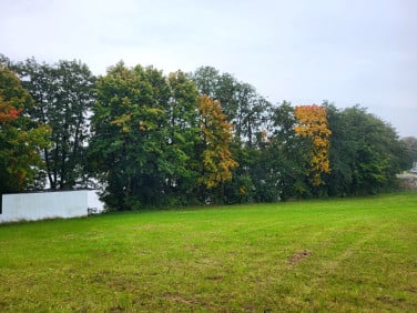 Działka inna Gruta