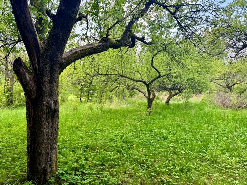 Działka budowlana sprzedam