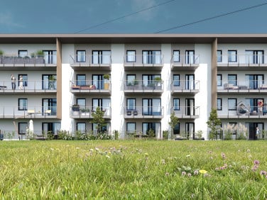 Zadworze 6