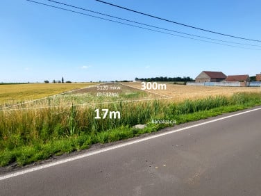Działka Konary