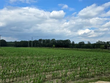 Działka rolna Wieszowa sprzedam