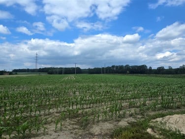 Działka rolna Wieszowa