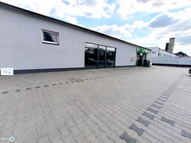 Lokal Sędziszów