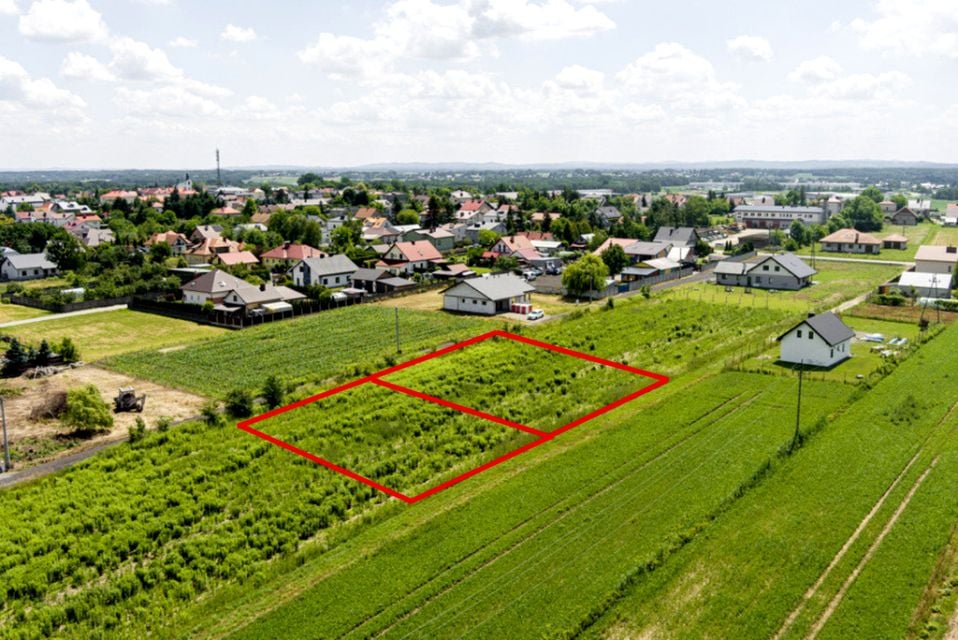 Zdjęcie 2