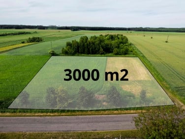 Działka Syców