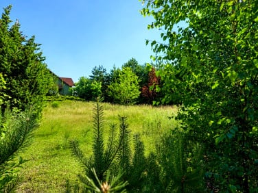 Działka inna Suszec