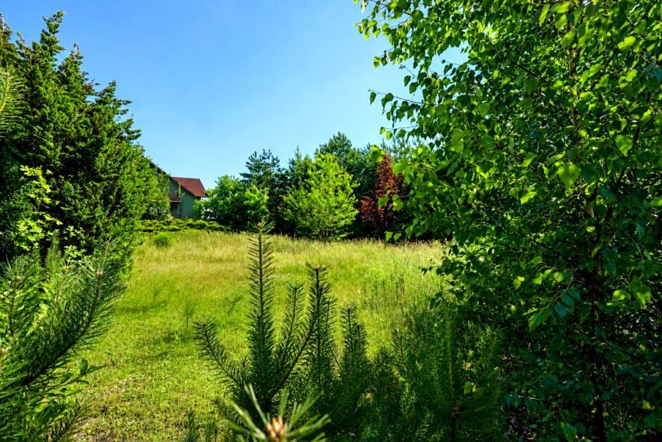 Działka inna Suszec