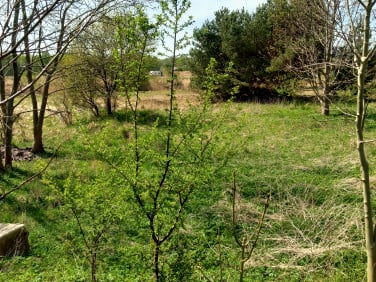 Działka budowlana Kołczewo