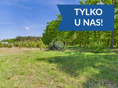 Działka Kobylarnia
