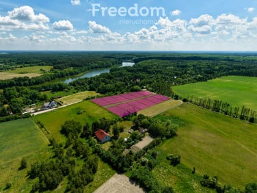 Działka budowlana Nienawiszcz sprzedam