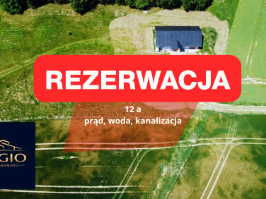 Działka przy lesie