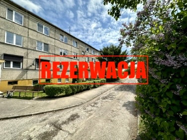 Mieszkanie Białowieża
