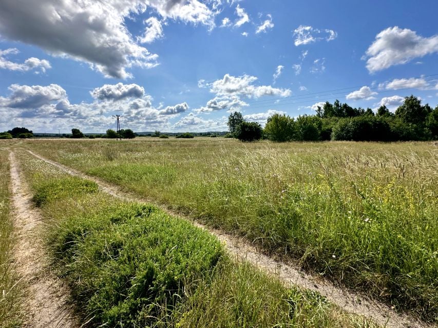Działka inna Wasilków