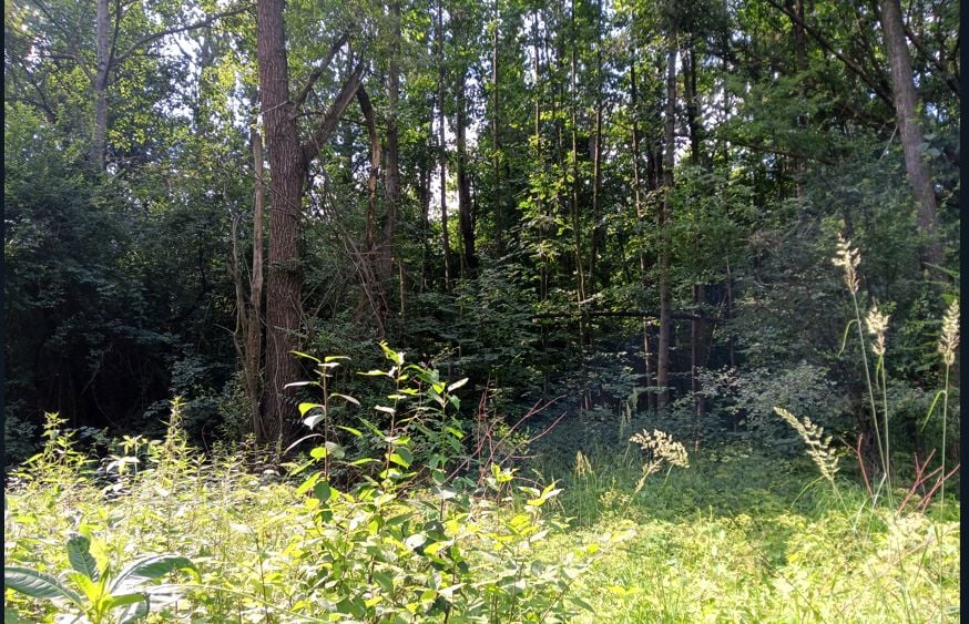 Działka inwestycyjna Zebrzydowice