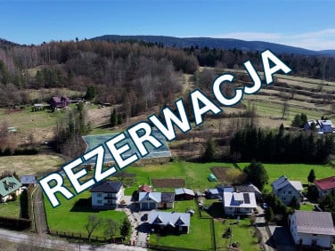 Działka Olszanica