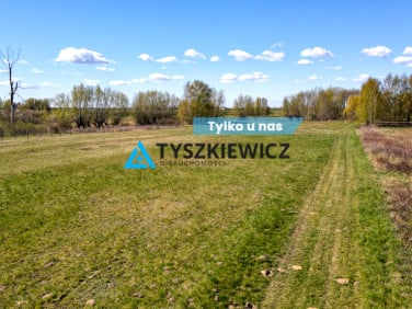 Działka Drewnica