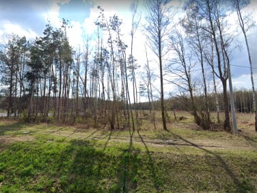 Zalesiona działka Józefów
