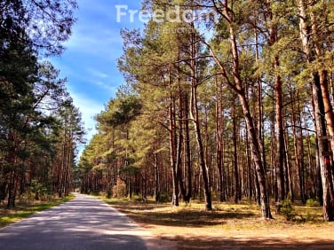 Działka Kalinowo