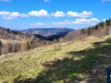 Działka Jeleśnia