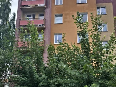 Mieszkanie Szprotawa