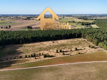 Działka inna Żółwieniec