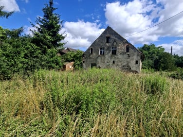 Działka inna Przemków
