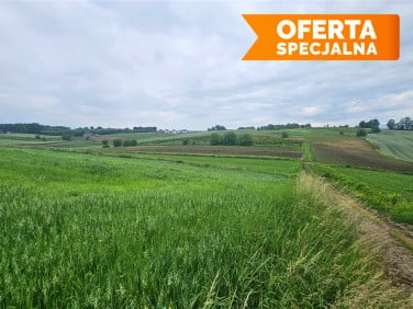 Działka rolna Głęboka