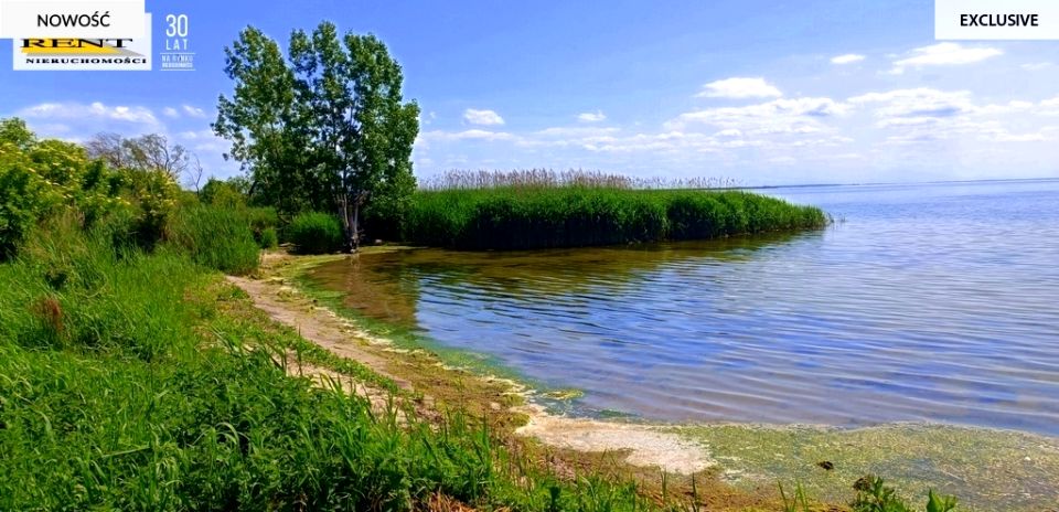 Zdjęcie 3
