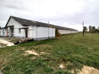 Lokal Kłębanowice