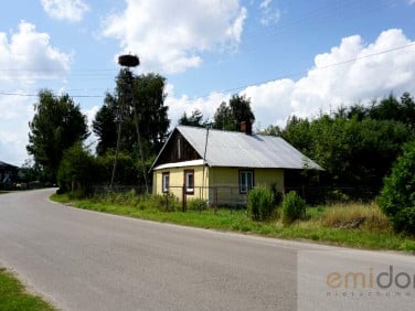 Działka przy lesie