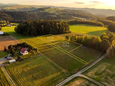 Działka przy lesie