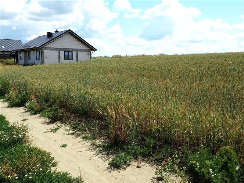 Działka inna Różyny