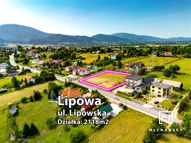 Działka Lipowa