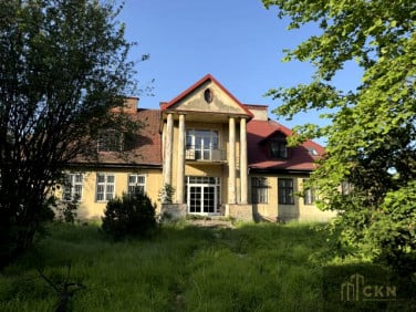 Lokal Kraków