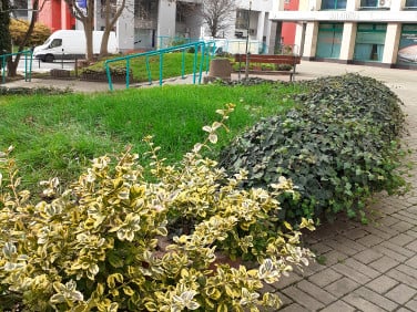 Lokal Wrocław