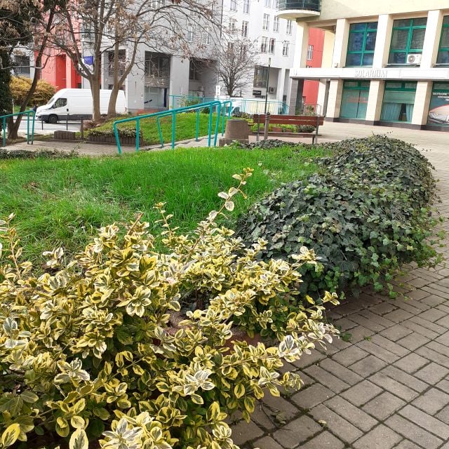 Lokal Wrocław