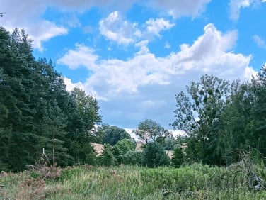 Działka Ciechocin