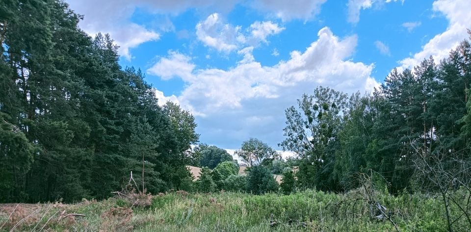 Działka Ciechocin