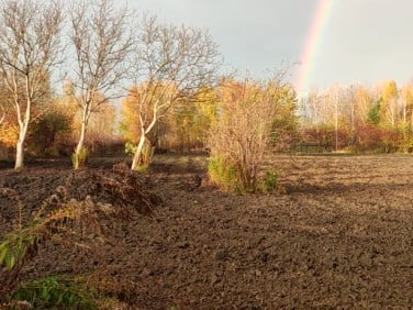 Ogrodzona działka sprzedam
