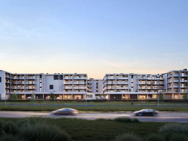 Lokal Kielce