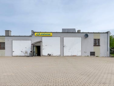 Lokal Szonowice